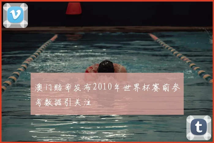 澳门赔率发布2010年世界杯赛前参考数据引关注