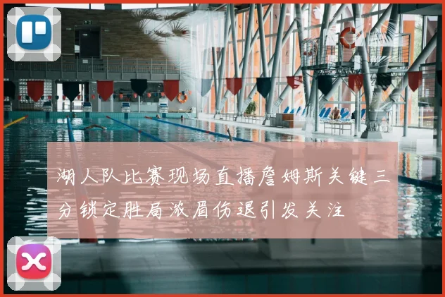 湖人队比赛现场直播詹姆斯关键三分锁定胜局浓眉伤退引发关注