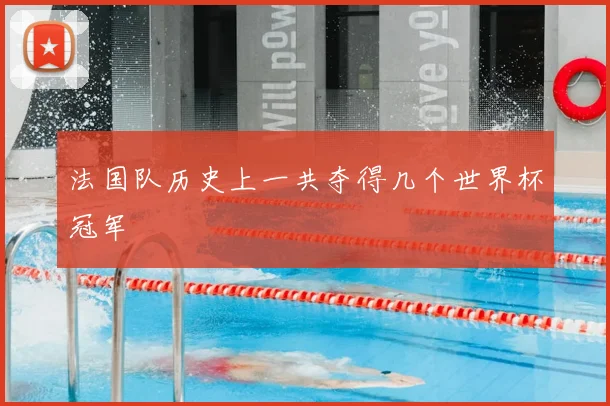 法国队历史上一共夺得几个世界杯冠军