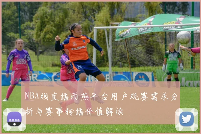 NBA线直播雨燕平台用户观赛需求分析与赛事转播价值解读
