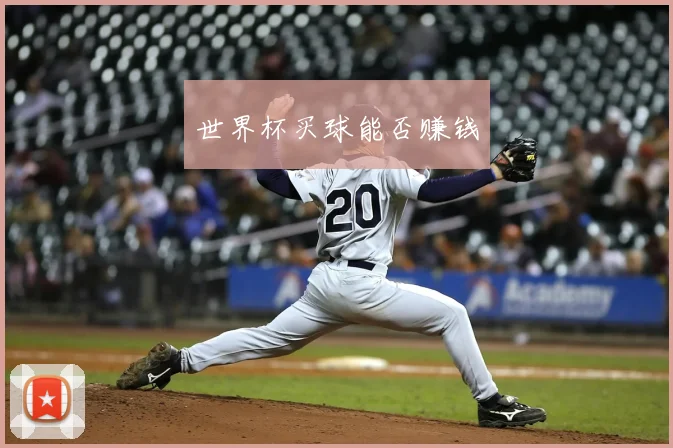 世界杯买球能否赚钱