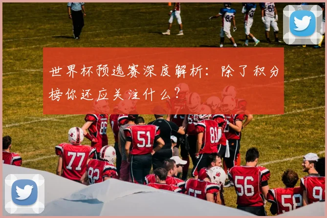 世界杯预选赛深度解析：除了积分榜你还应关注什么？