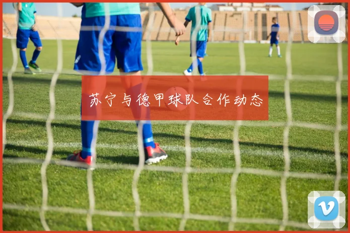 苏宁与德甲球队合作动态