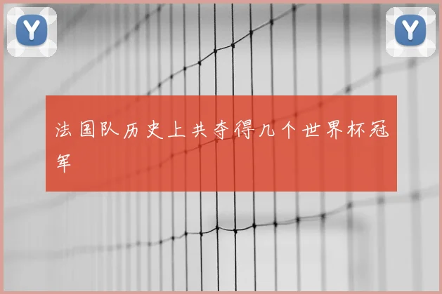 法国队历史上共夺得几个世界杯冠军