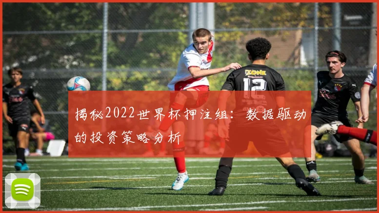 揭秘2022世界杯押注组:数据驱动的投资策略分析