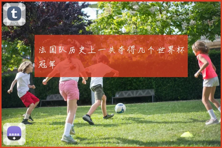 法国队历史上一共夺得几个世界杯冠军