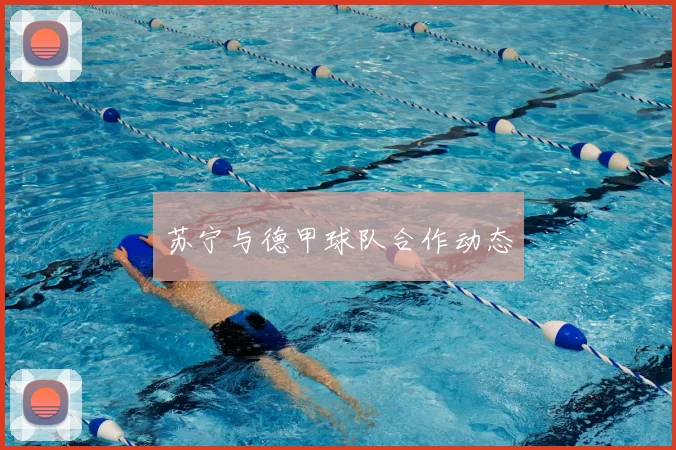 苏宁与德甲球队合作动态