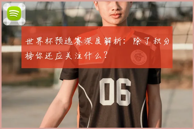 世界杯预选赛深度解析:除了积分榜你还应关注什么?