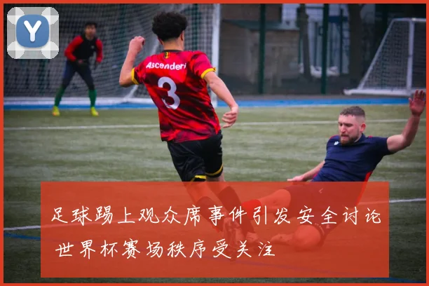 足球踢上观众席事件引发安全讨论 世界杯赛场秩序受关注