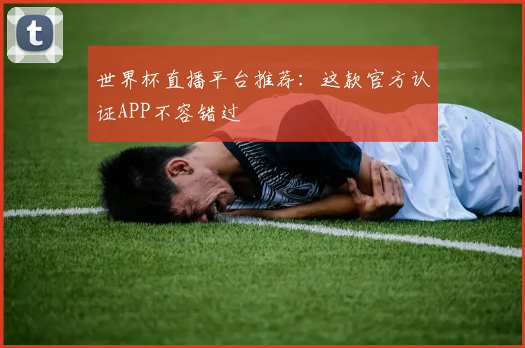 世界杯直播平台推荐：这款官方认证APP不容错过
